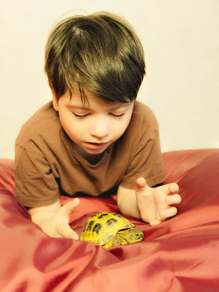 Lion and Koopa — FAIR Magazine, April 2026